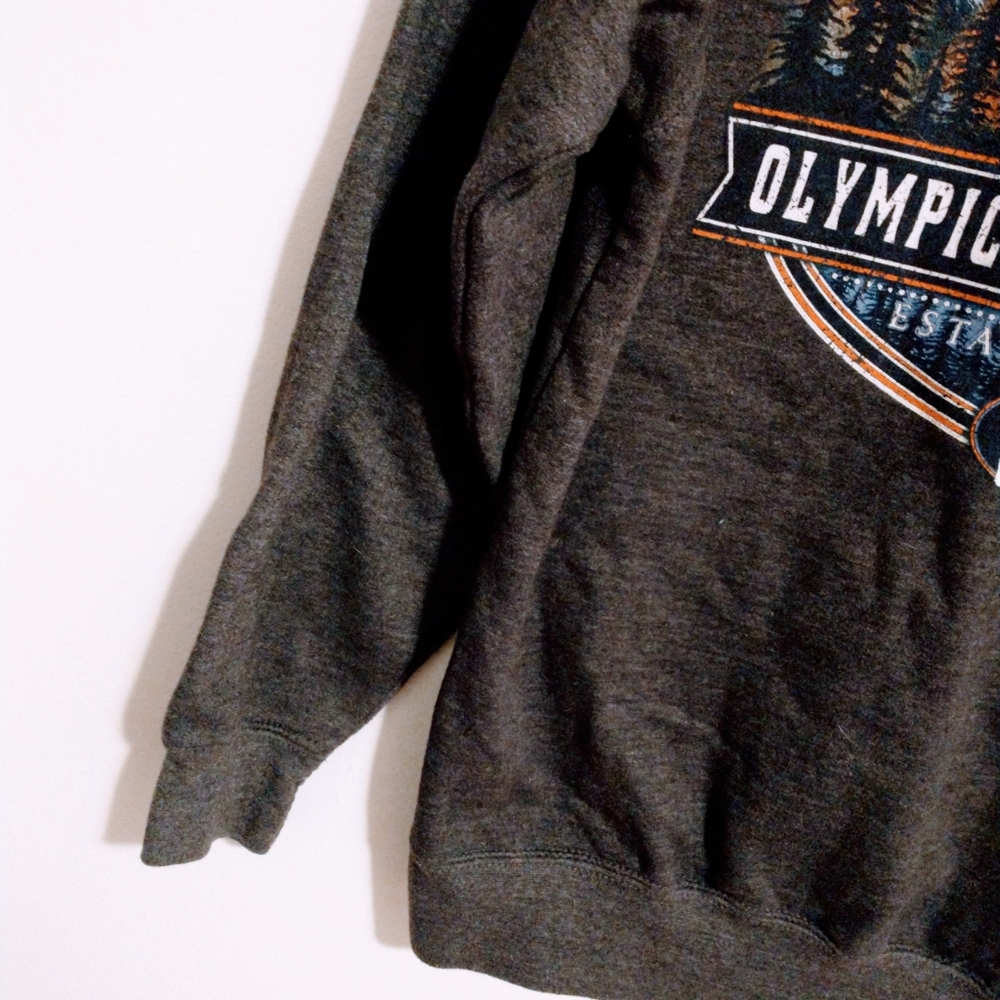 Grey sweatshirt - Picture 5 of 5
